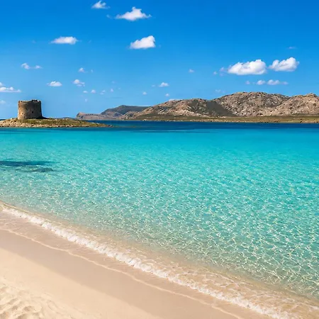 Asinara View Stintino